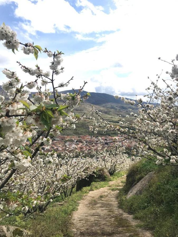 Casa Rural La Picotina Navaconcejo Exteriér fotografie