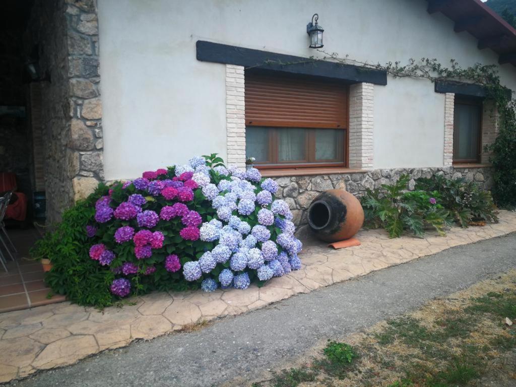 Casa Rural La Picotina Navaconcejo Exteriér fotografie
