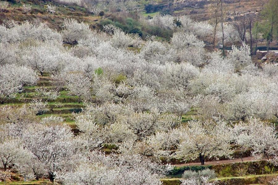 Casa Rural La Picotina Navaconcejo Exteriér fotografie